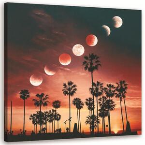 Obraz na plátne Fázy Mesiaca v Kalifornii - Rokibul Hasan Rozmery: 30 x 30 cm