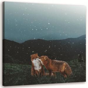Obraz na plátne Dve líšky v noci - Rokibul Hasan Rozmery: 30 x 30 cm