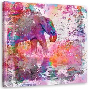 Obraz na plátne Slon medzi farbami - Andrea Haase Rozmery: 30 x 30 cm