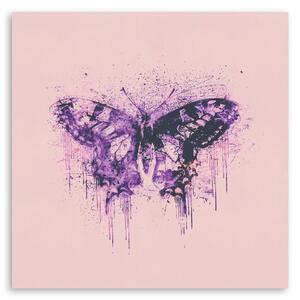 Obraz na plátne Fialový motýľ - Andrea Haase Rozmery: 30 x 30 cm