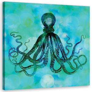Obraz Zelená a modrá chobotnica - Andrea Haase Veľkosť: 30 x 30 cm, Prevedenie: Obraz na plátne