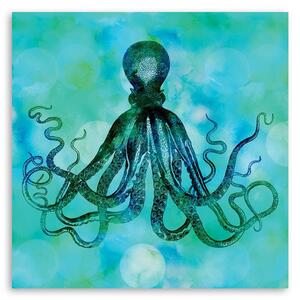 Obraz na plátne Zelená a modrá chobotnica - Andrea Haase Rozmery: 30 x 30 cm