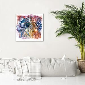 Obraz na plátne Stádo modrých zebier - Andrea Haase Rozmery: 30 x 30 cm