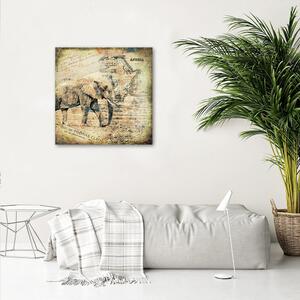 Obraz na plátne Slon a stará mapa Afriky - Andrea Haase Rozmery: 30 x 30 cm
