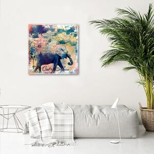 Obraz na plátne Slon v džungli - Andrea Haase Rozmery: 30 x 30 cm