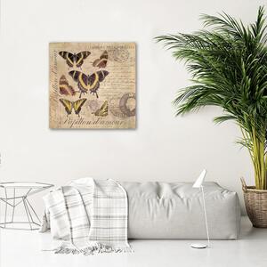 Obraz na plátne Motýle na béžovom pozadí - Andrea Haase Rozmery: 30 x 30 cm