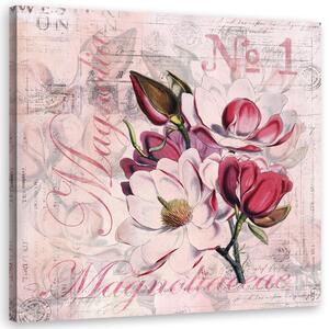 Obraz na plátne Magnólie na ružovom pozadí - Andrea Haase Rozmery: 30 x 30 cm