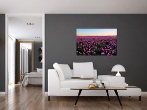 Obraz - Lúka fialových tulipánov (90x60 cm)