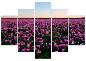 Obraz - Lúka fialových tulipánov (150x105 cm)