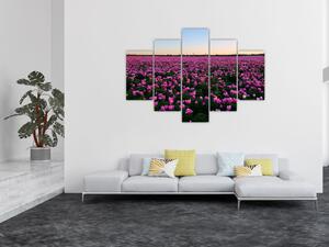 Obraz - Lúka fialových tulipánov (150x105 cm)