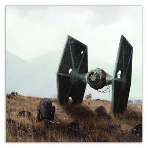 Obraz na plátne Star Wars, droid a vesmírna loď - Zehem Chong Rozmery: 30 x 30 cm