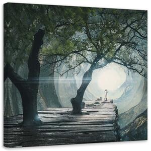 Obraz na plátne Most v jaskyni - Zehem Chong Rozmery: 30 x 30 cm