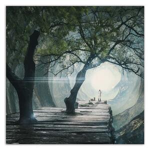 Obraz na plátne Most v jaskyni - Zehem Chong Rozmery: 30 x 30 cm