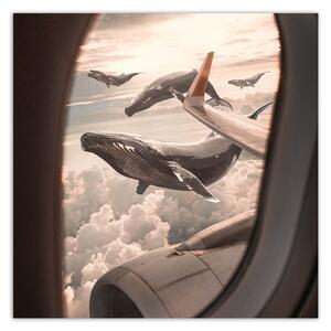 Obraz na plátne Pohľad na veľryby z lietadla - Zehem Chong Rozmery: 30 x 30 cm