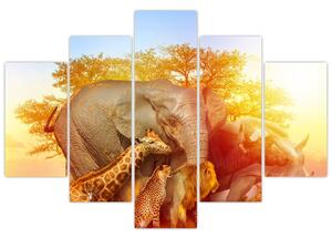Obraz afrických zvieratiek (150x105 cm)