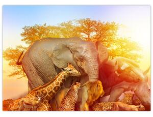 Obraz afrických zvieratiek (70x50 cm)