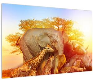 Obraz afrických zvieratiek (90x60 cm)