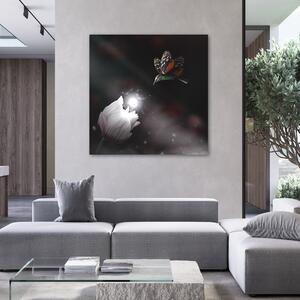Obraz na plátne Kolibrík a čarovný kvet - Zehem Chong Rozmery: 30 x 30 cm