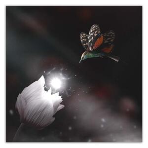 Obraz na plátne Kolibrík a čarovný kvet - Zehem Chong Rozmery: 30 x 30 cm