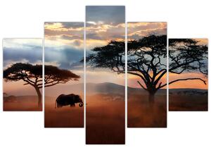 Obraz - Národný park Serengeti, Tanzánia, Afrika (150x105 cm)