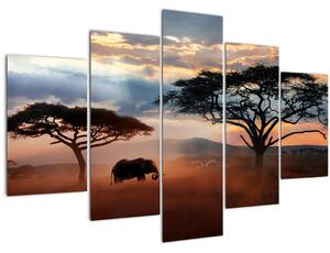 Obraz - Národný park Serengeti, Tanzánia, Afrika (150x105 cm)