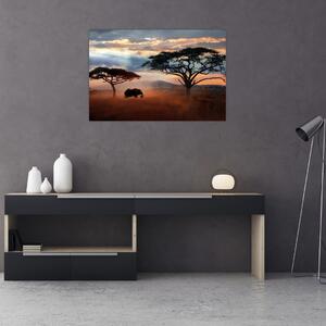 Obraz - Národný park Serengeti, Tanzánia, Afrika (90x60 cm)