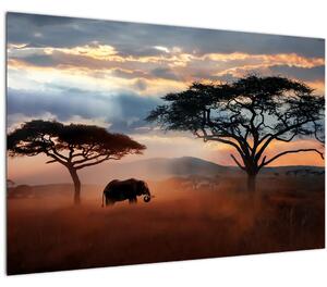 Obraz - Národný park Serengeti, Tanzánia, Afrika (90x60 cm)