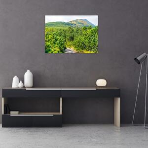Obraz - Babi Hora, Poľsko (70x50 cm)
