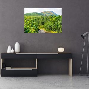 Obraz - Babi Hora, Poľsko (90x60 cm)