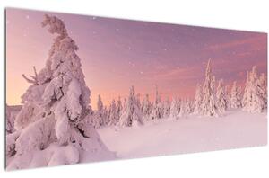 Obraz - Stromy pod snehovou prikrývkou (120x50 cm)