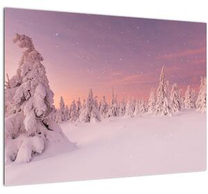 Obraz - Stromy pod snehovou prikrývkou (70x50 cm)