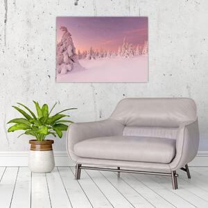 Obraz - Stromy pod snehovou prikrývkou (70x50 cm)