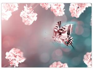 Obraz - Motýľ medzi kvetmi (70x50 cm)