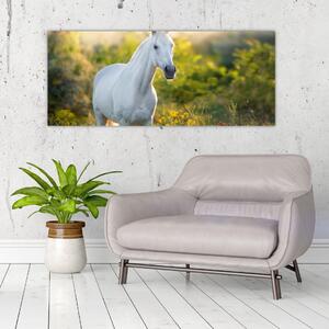 Obraz bieleho koňa na lúke (120x50 cm)