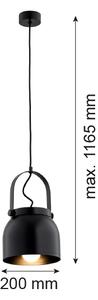 Argon 8281 - Luster na lanku LOGAN 1xE27/15W/230V pr. 20 cm čierna