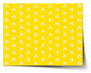 Sablio Plagát Biele kačičky - 60x40 cm
