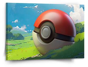 Sablio Obraz Pokemon ball Krajina - 150x110 cm