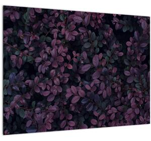 Obraz tmavočervených lístočkov (70x50 cm)