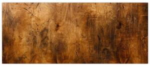 Obraz - Detail dreva (120x50 cm)