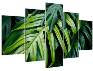 Obraz - Tropické listy (150x105 cm)