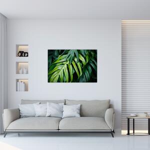 Obraz - Tropické listy (90x60 cm)