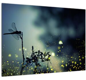 Obraz - Vážka za trblietavej noci (70x50 cm)