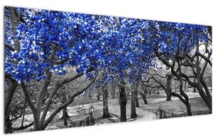 Obrázok - Modré stromy, Central Park, New York (120x50 cm)
