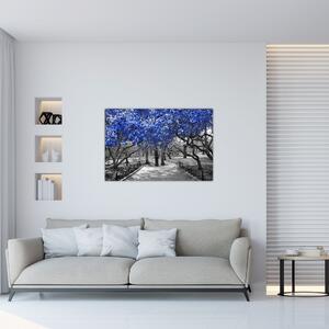 Obrázok - Modré stromy, Central Park, New York (90x60 cm)