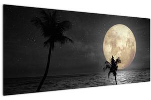Obraz - Pláž za splnu v šedých tónoch (120x50 cm)