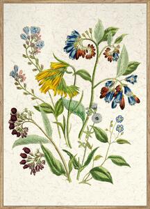 UMELECKÁ TLAČ, kvety, 51,2/71,2 cm Monee - Obrazy