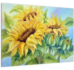 Obraz rozkvitnutých slnečníc (70x50 cm)