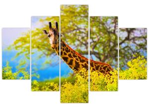 Obraz žirafy v Afrike (150x105 cm)