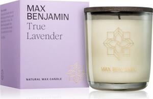 MAX Benjamin True Lavender vonná sviečka 210 g