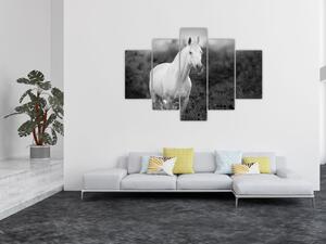 Obraz bieleho koňa na lúke, čiernobiela (150x105 cm)